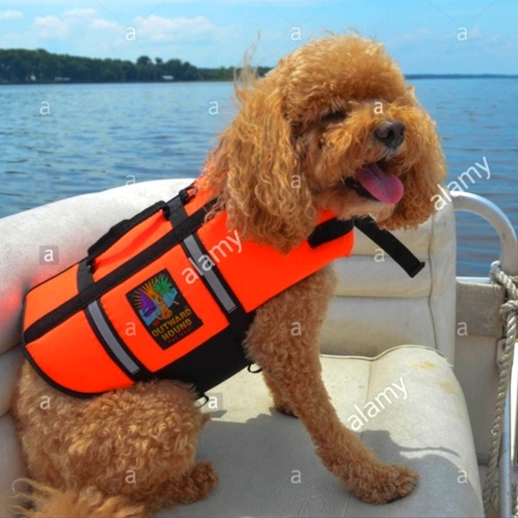 Outward Hound Other - Outward Hound Dog Life Jacket / Life Vest /  Medium Size / Brand New